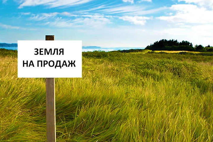 Богдан запевняє, що іноземці отримають право купувати землю в Україні через чотири роки