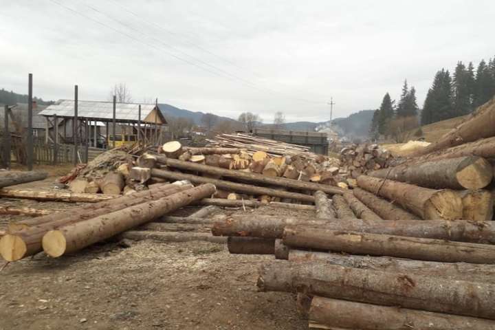 СБУ попередила експорт незаконно зрубаного лісу на мільйони гривень