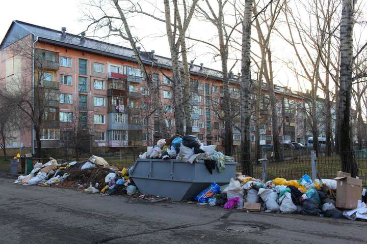 Російське місто Бійськ тоне в смітті. Моторошні фото
