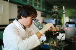 В уряді придумали, як зробити українських науковців заможними