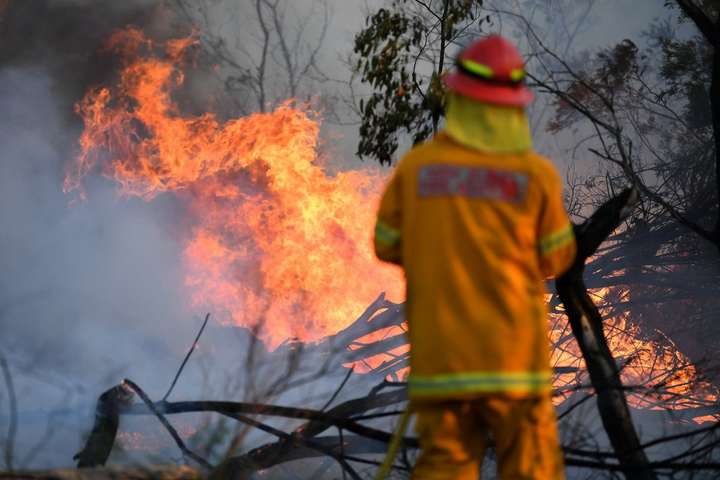 Австралія потерпає від масштабних лісових пожеж. Фотогалерея