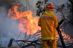 Австралія потерпає від масштабних лісових пожеж. Фотогалерея