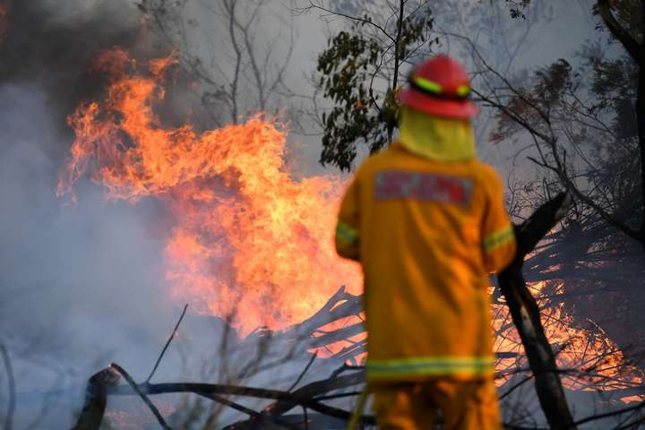 В Австралии бушуют масштабные лесные пожары. Фотогалерея