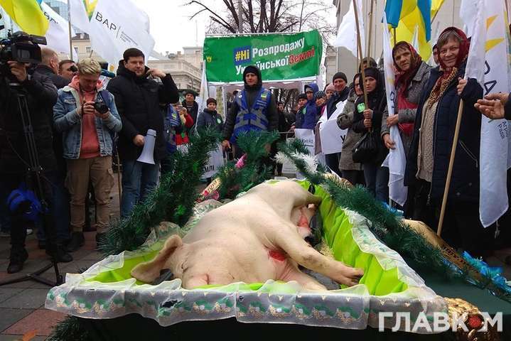 Рынок земли: протестующие под Радой аграрии подложили нардепам свинью (фото)