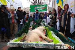 Протест против запуска рынка земли возле Верховной Рады, 13 ноября 2019 года