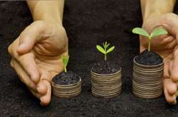 Ринок землі: у Порошенка готують поправки, які не дадуть сконцентрувати ресурси «в одних руках» 