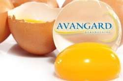 «Союз птахівників України» виступив на захист агрохолдингу «Авангард» Олега Бахматюка