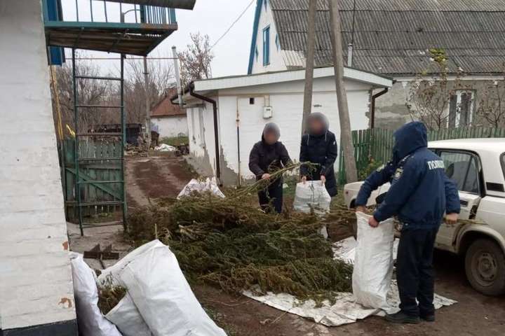 Пів мішка маку та 22 мішки конопель: на Київщині чоловік організував наркобізнес