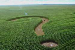 «Мені 81-й рік, і я теж не лох». Видатний аграрій, Герой України, написав листа Зеленському