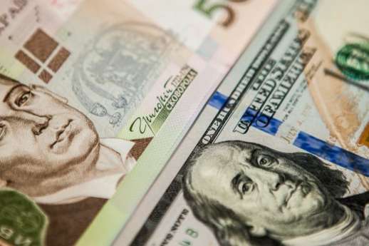 Експерти прогнозують подальше падіння долара