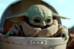 Пользователи растроганы фотографиями маленького Йоды: новый мем