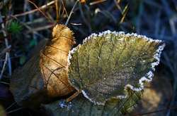 В Україні посилиться похолодання: прогноз погоди на 19 листопада