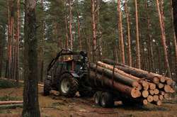 Зеленский запретил сплошную вырубку леса в Карпатах