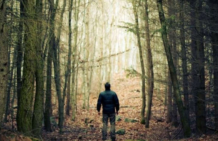 У лісі на Франківщині цілу ніч шукали заблукалого чоловіка