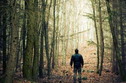 У лісі на Франківщині цілу ніч шукали заблукалого чоловіка