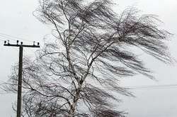 30 м/сек: синоптики предупреждают о сильном ветре