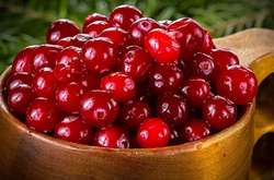 Специалисты рассказали, как очистить легкие после отказа от сигарет