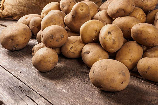 В Україні дешевшає картопля, однак купувати її ніхто не поспішає