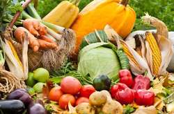 Названы продукты, способные заменить лекарства