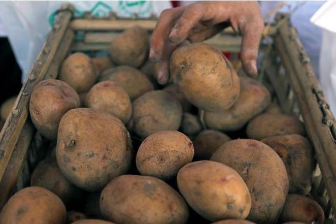 Митники не пустили в Україну 20 тонн російської картоплі 