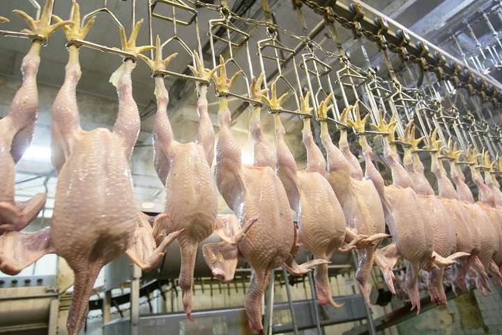 Європарламент схвалив збільшення квот на курятину з України