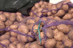 У Києві тривають продуктові ярмарки (адреси)