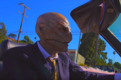  Американский рок-музыкант Игги Поп опубликовал видео на композицию Sonali, вошедшую в последний альбом Free 
  