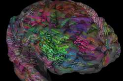 За словами дослідників, результати даного дослідження вплинуть на терапію патологій, пов'язаних із дефектами мови