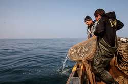 Україна і Росія узгодили вилов риби в Азовському морі