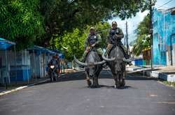 В Бразилии полицейские патрулируют улицы верхом на огромных буйволах