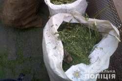 У жителя Маріуполя поліція вилучила 7 кг канабісу