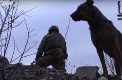 На Донбасі з початку доби зберігається режим тиші