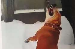 Собака після команди «фас» накинувся на потерпілу