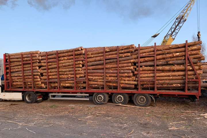 Силовики проводять обшуки на лісопереробних підприємствах Житомирщини 