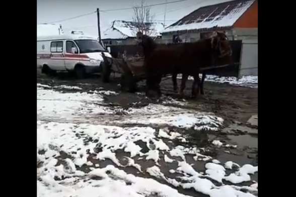 На Закарпатті коні прийшли на допомогу автівці швидкої допомоги (відео)