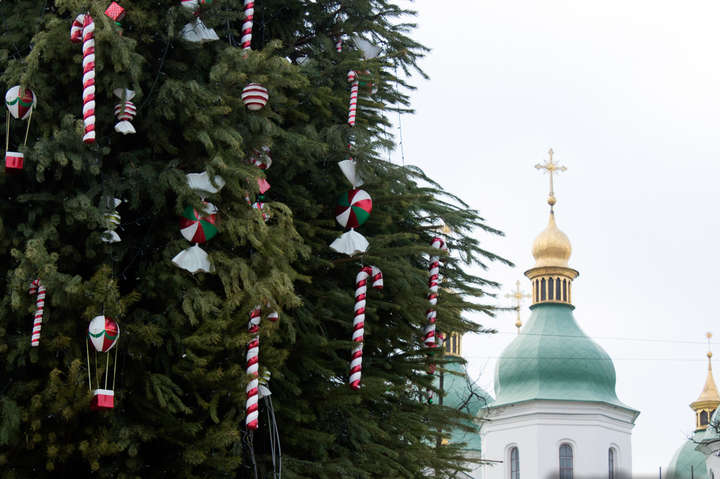 На Софійській площі з’явилася новорічна ялинка: як виглядає зелена красуня (фото)