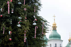 На Софійській площі з’явилася новорічна ялинка: як виглядає зелена красуня (фото)