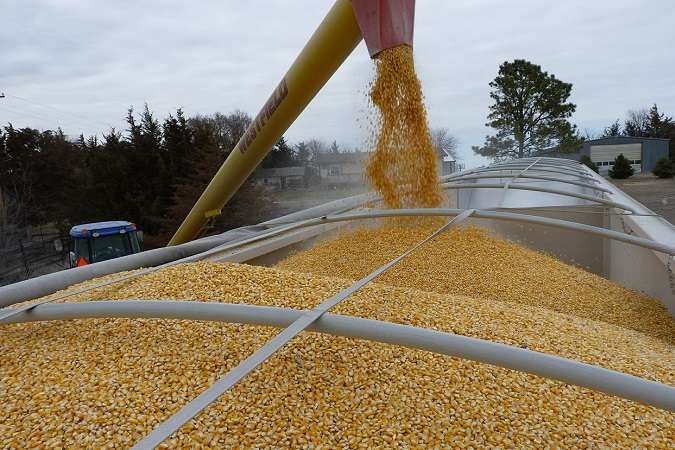 Україна відправила на експорт рекордну кількість зерна 