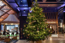 Самая дорогая в мире рождественская елка (фото)