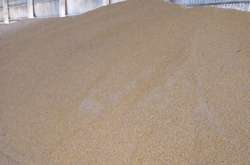 Зловмисники викрали зі складу 59 тонн сої