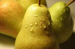 Семь особенно полезных фруктов во время и после лечения рака