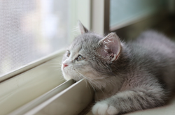 12 грудня в Україні хмарно з проясненнями