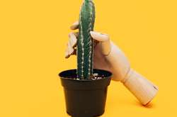  Самый крупный порносайт в мире опубликовал статистику за 2019 год 
  