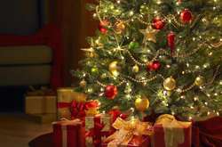 Фахівці дали поради як правильно обрати новорічну ялинку