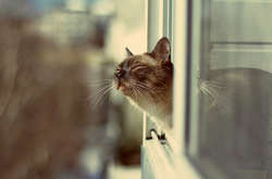 Сухо і потепління до +13: прогноз погоди на понеділок