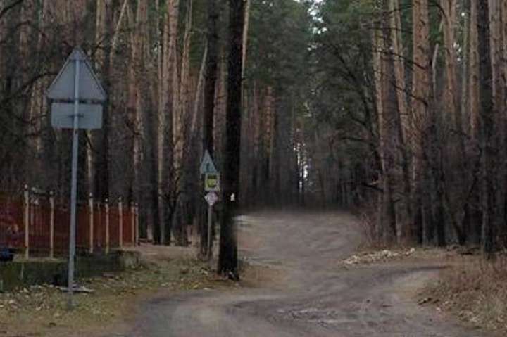 У столичному лісі поліція знайшла тіло юнака, що зник безвісти 5 грудня