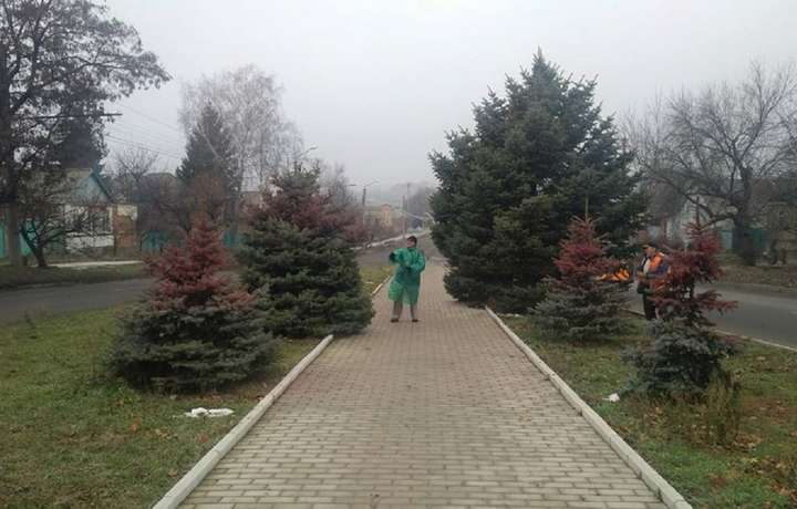 У львівському парку ялинки зробили смердючими