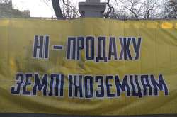 На митинге против рынка земли в ход пошли зеленка и газ