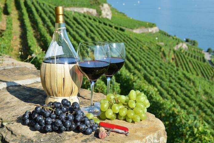 Найбільше вина Україна імпортує з Італії