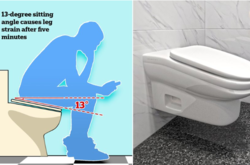  Создатели утверждают, что сотрудники слишком много времени проводят в туалете, а новая разработка позволит значительно сократить их перерывы 
  